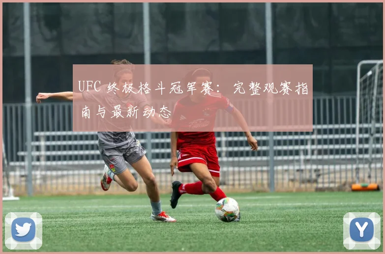 UFC 终极格斗冠军赛：完整观赛指南与最新动态