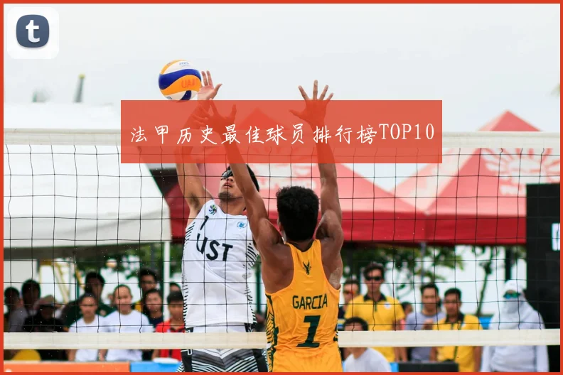 法甲历史最佳球员排行榜TOP10