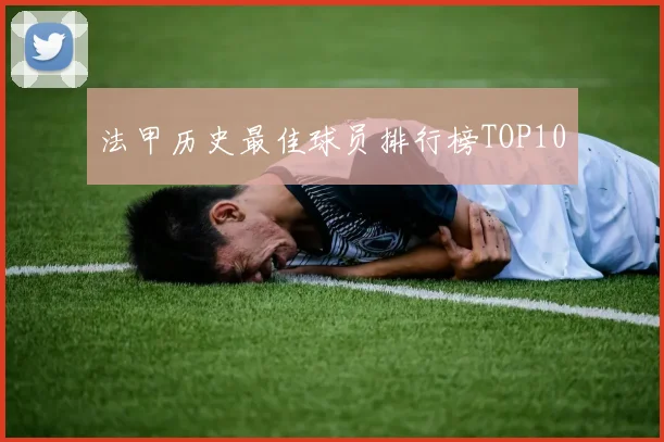 法甲历史最佳球员排行榜TOP10