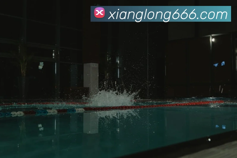 奖项证书